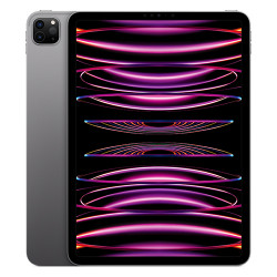 iPad Pro M2 12.9 inch Wi-Fi + Cellular 1TB Space Gray